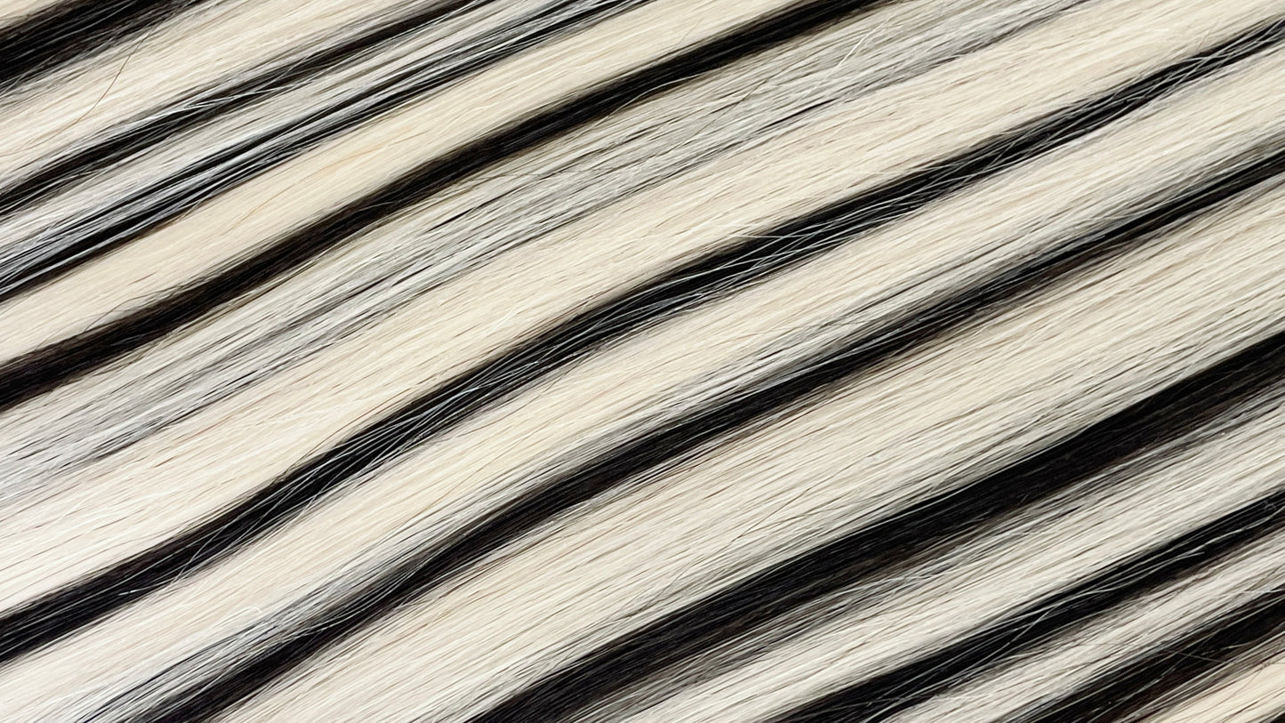 Euro Prestige Volumizer #1B/SA