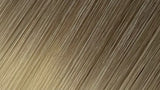 B8/SB Ash Blonde Balayage Racine Euro Prestige