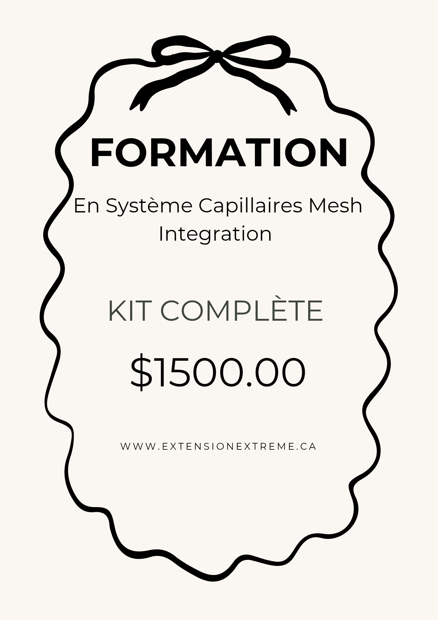 Formation en Système Capillaire Mesh Intégration Euro Prestige  À VENIR EN MAI