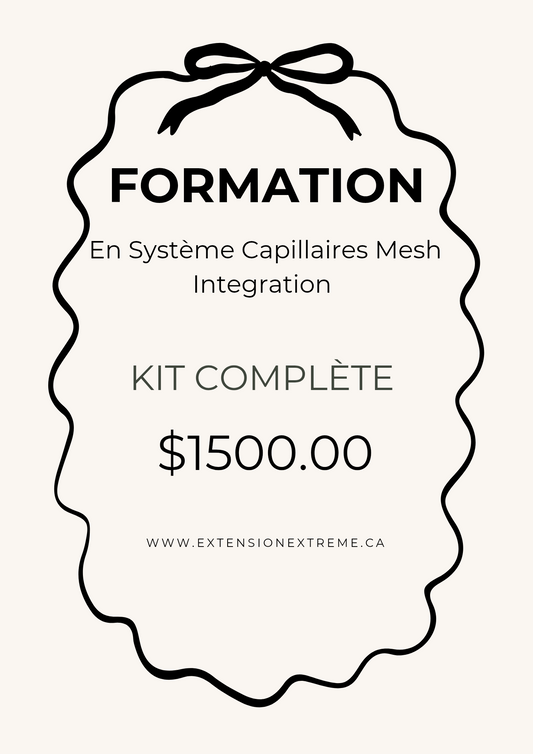 Formation en Système Capillaire Mesh Intégration Euro Prestige  À VENIR EN MAI