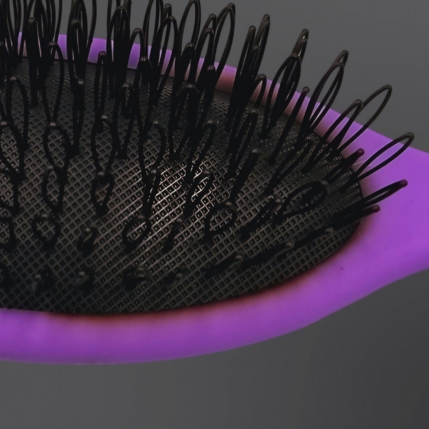 Loop Brush - Euro Prestige Violet