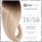 T6/SB - Ombrée (Ash Blonde)