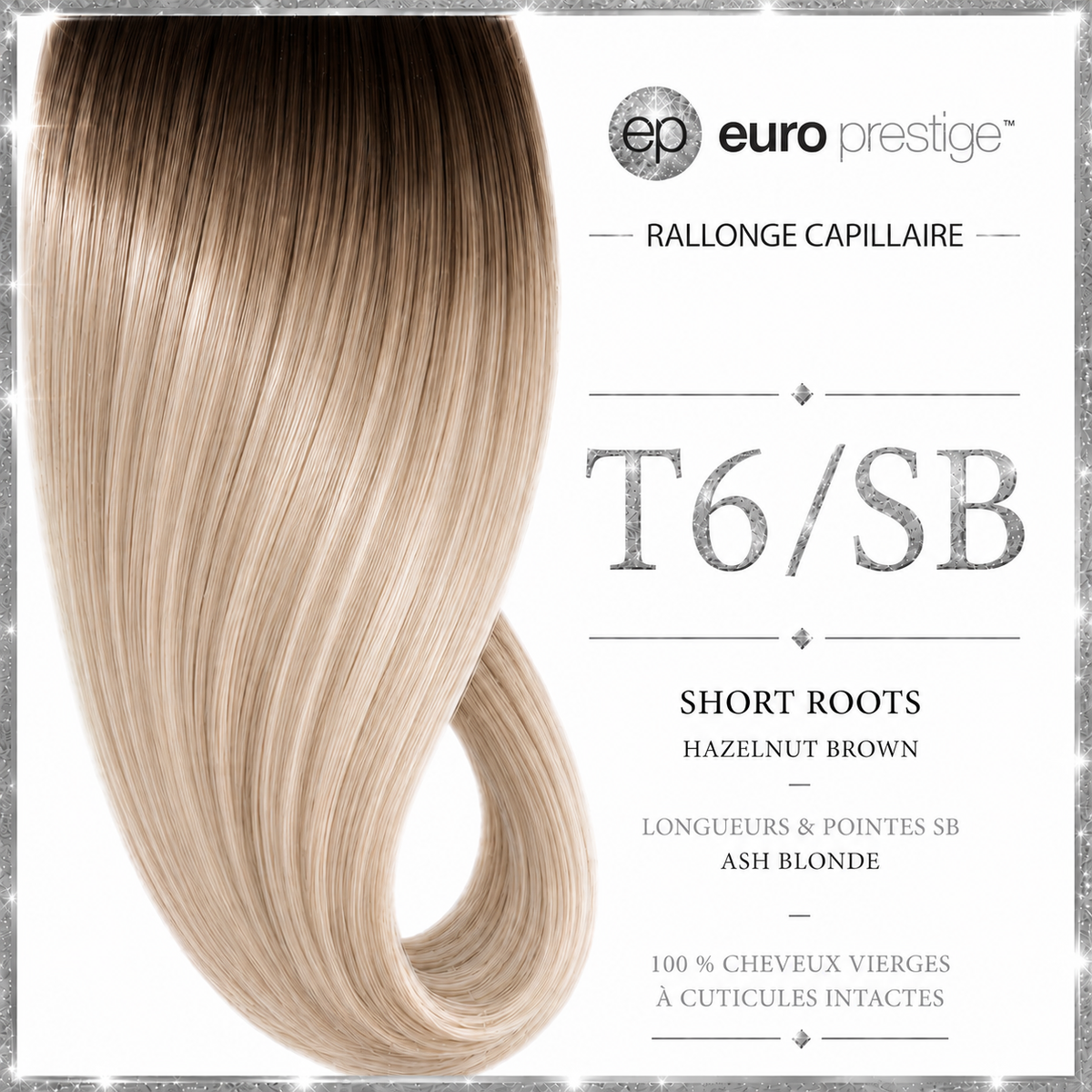 T6/SB - Ombrée (Ash Blonde)