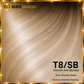  T8/SB - Ombrée (Ash Blonde)