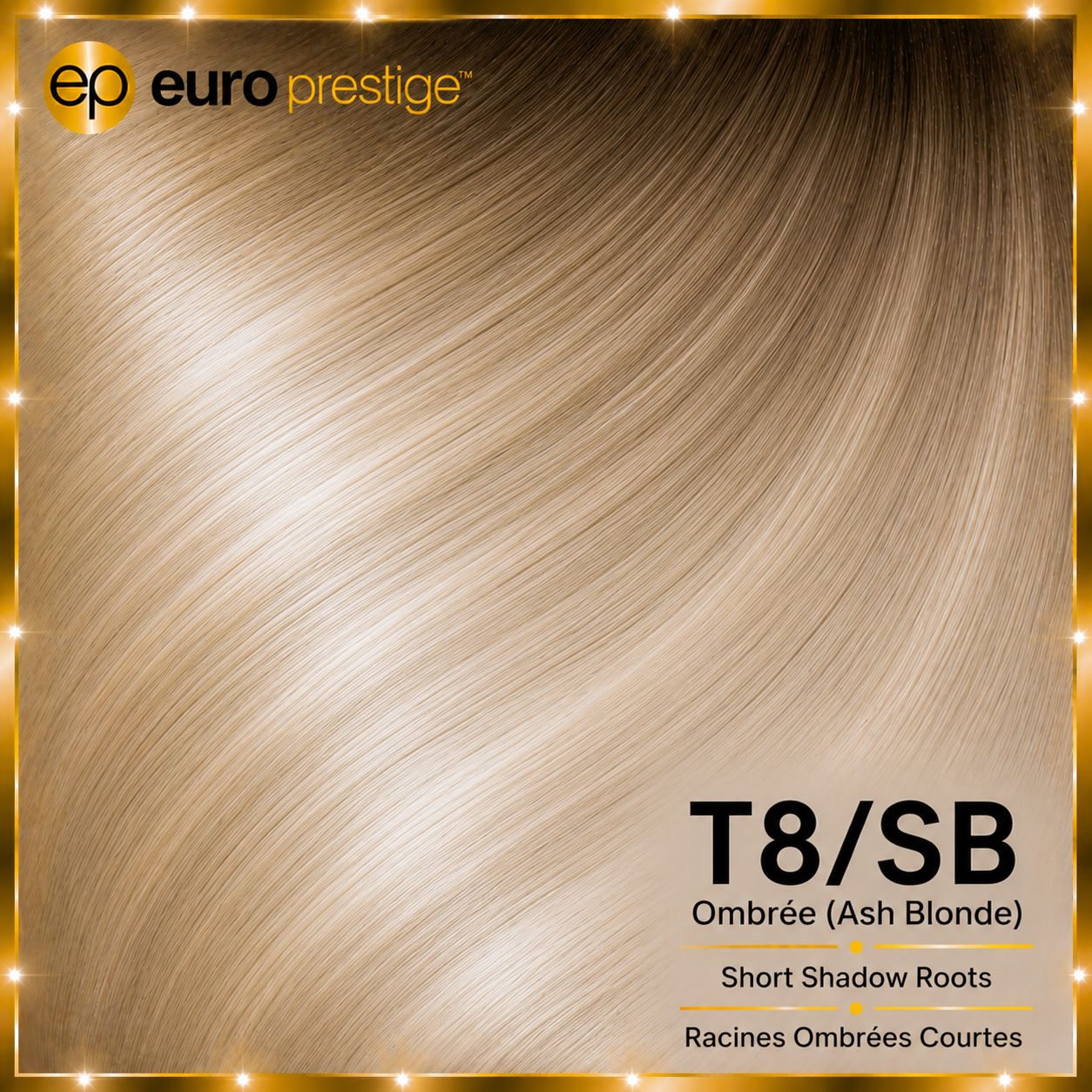  T8/SB - Ombrée (Ash Blonde)