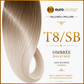  T8/SB - Ombrée (Ash Blonde)