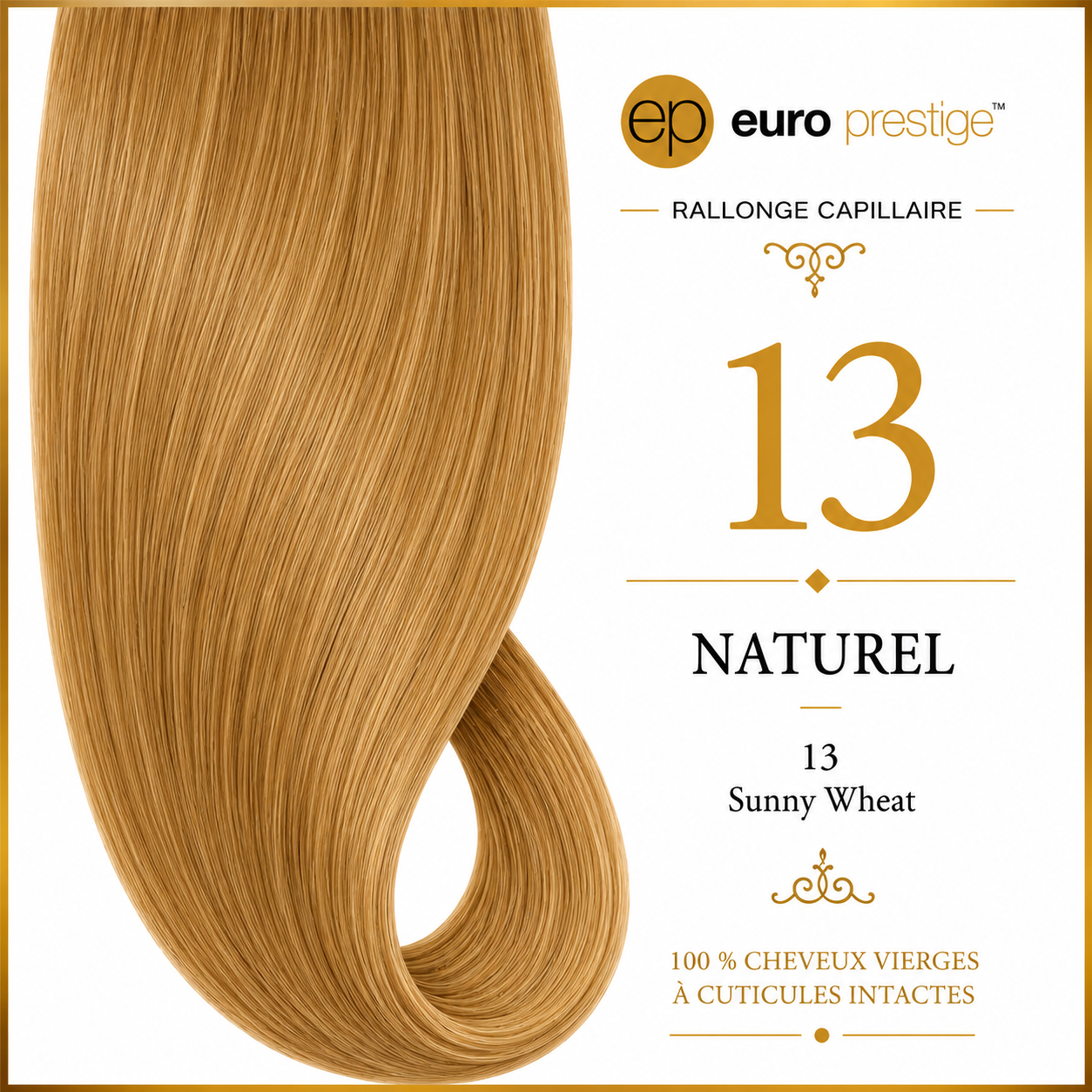 13 - Sunny Wheat