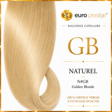 GB - Golden Blonde Euro Prestige