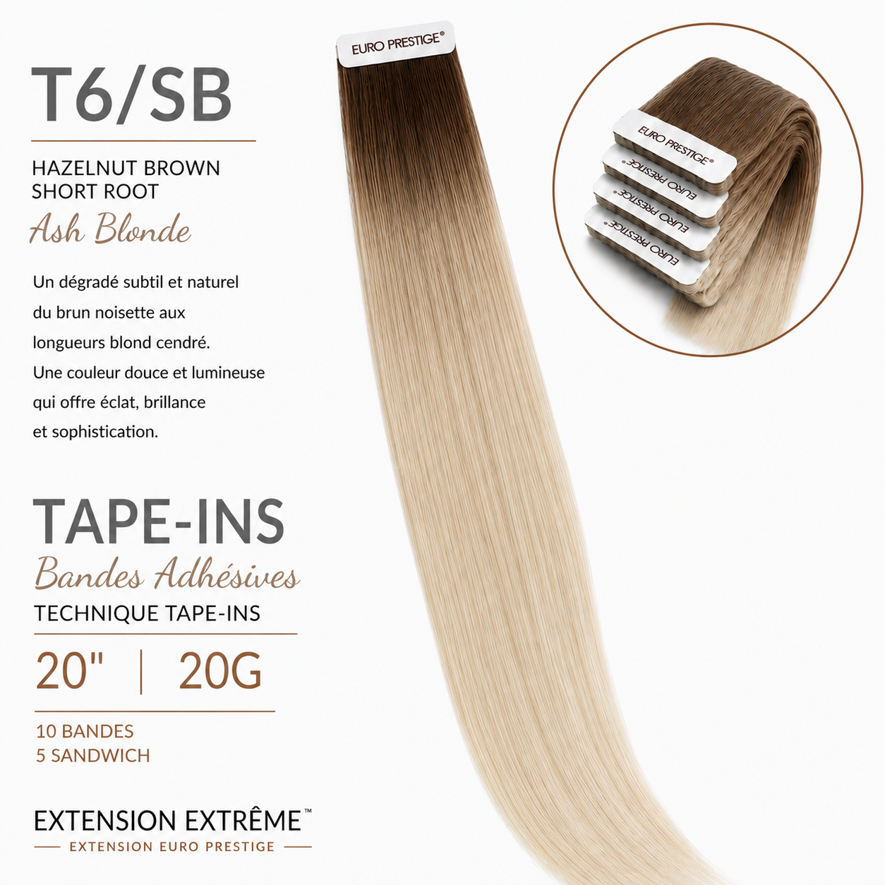 T6/SB - Ombrée (Ash Blonde)