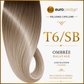  T6/SB - Ombrée (Ash Blonde)