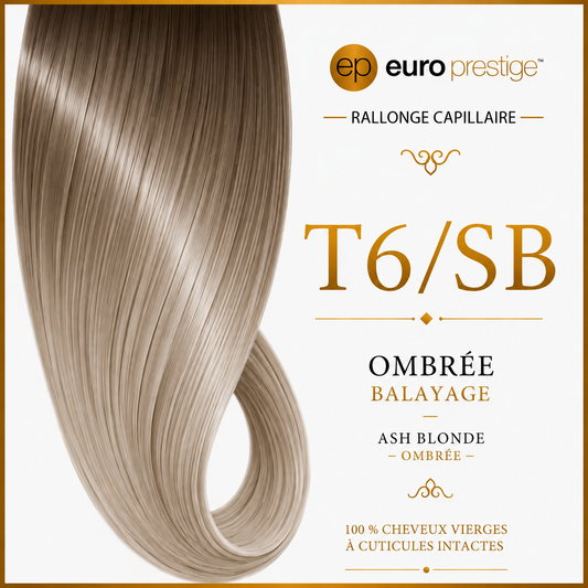  T6/SB - Ombrée (Ash Blonde)