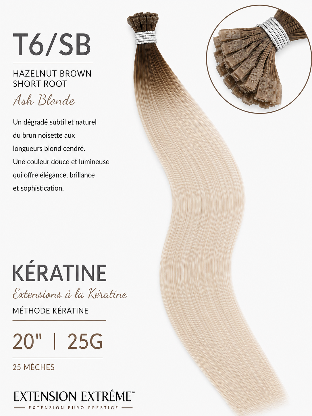 T6/SB - Ombrée (Ash Blonde)
