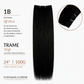  01B - Off Black