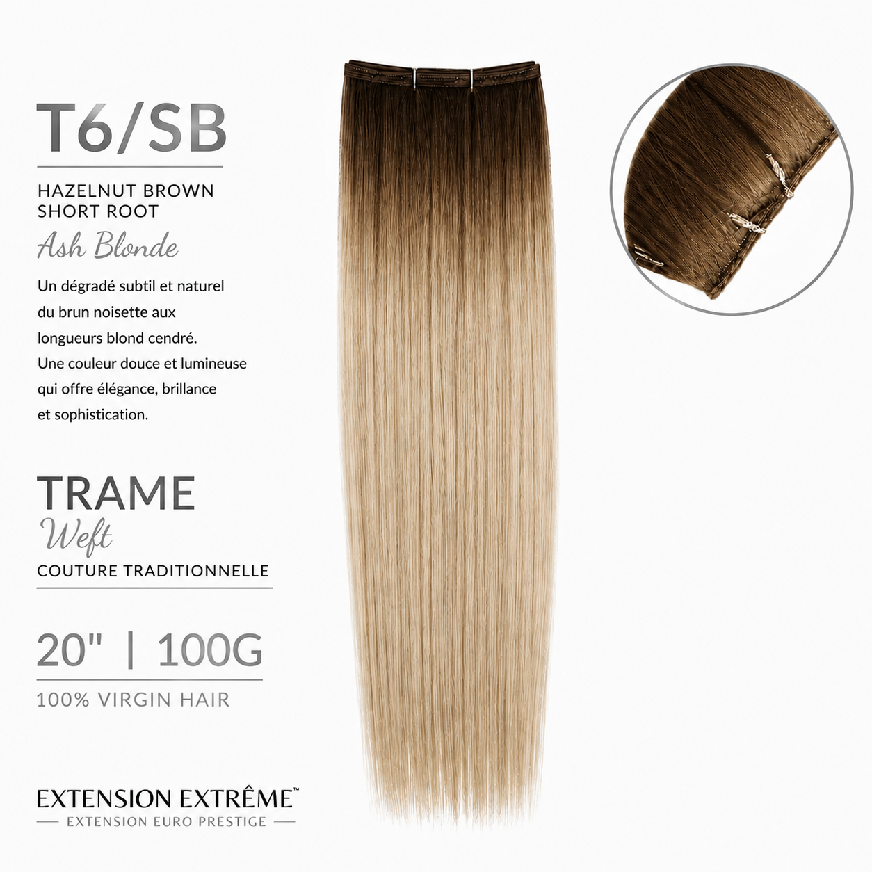 T6/SB - Ombrée (Ash Blonde)