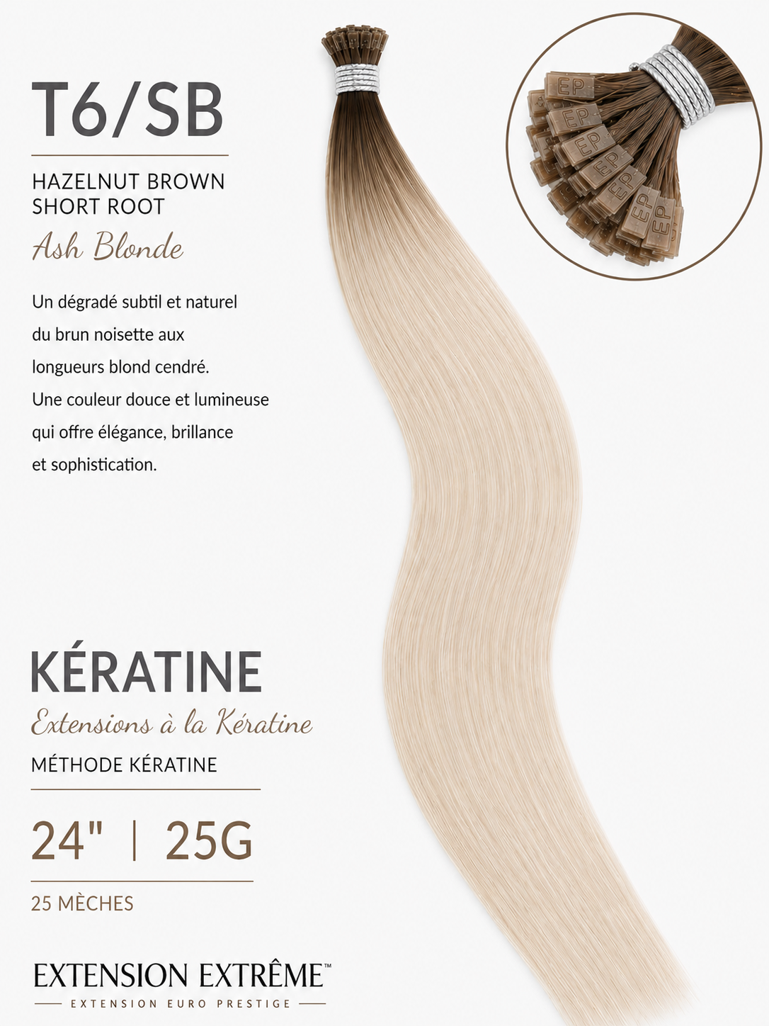 T6/SB - Ombrée (Ash Blonde)