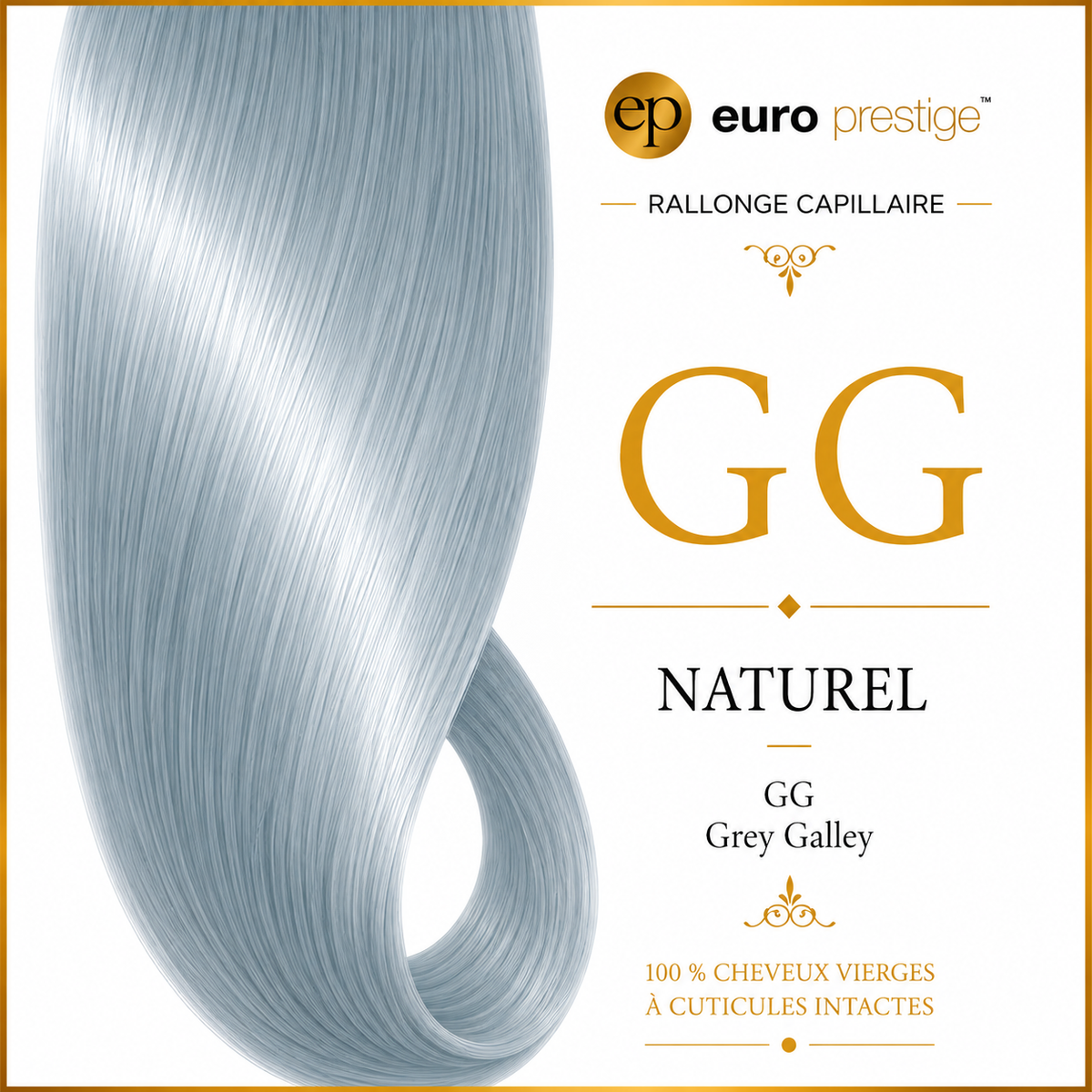 GG - Grey Galley
