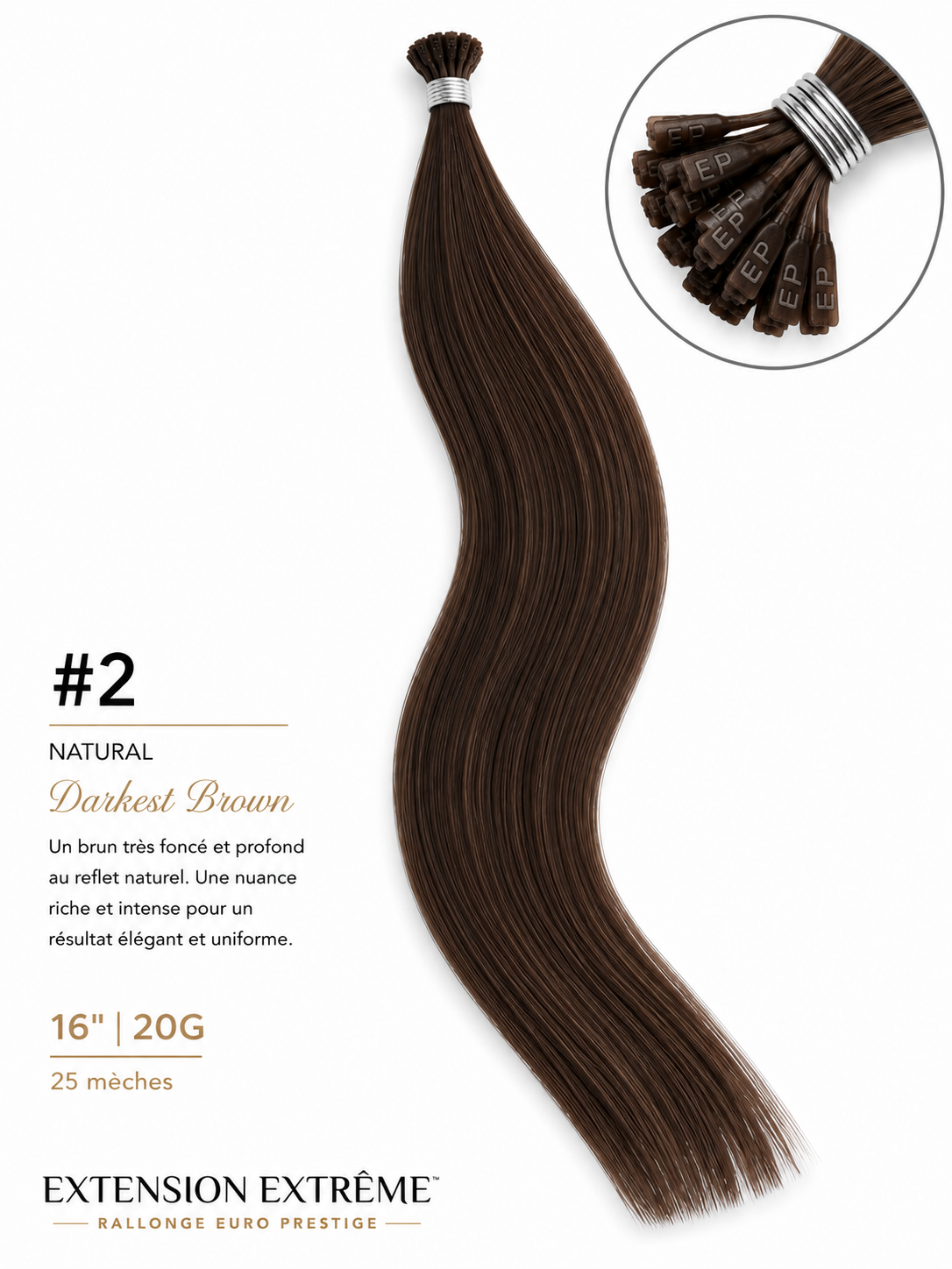 02 - Darkest Brown
