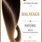 B#2/6 - Darkest Brown / Hazelnut Bown Balayage