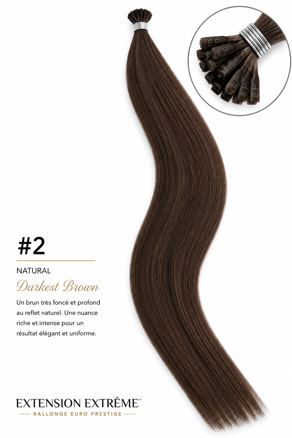 02 - Darkest Brown