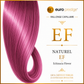 EF - Echinacia Flower