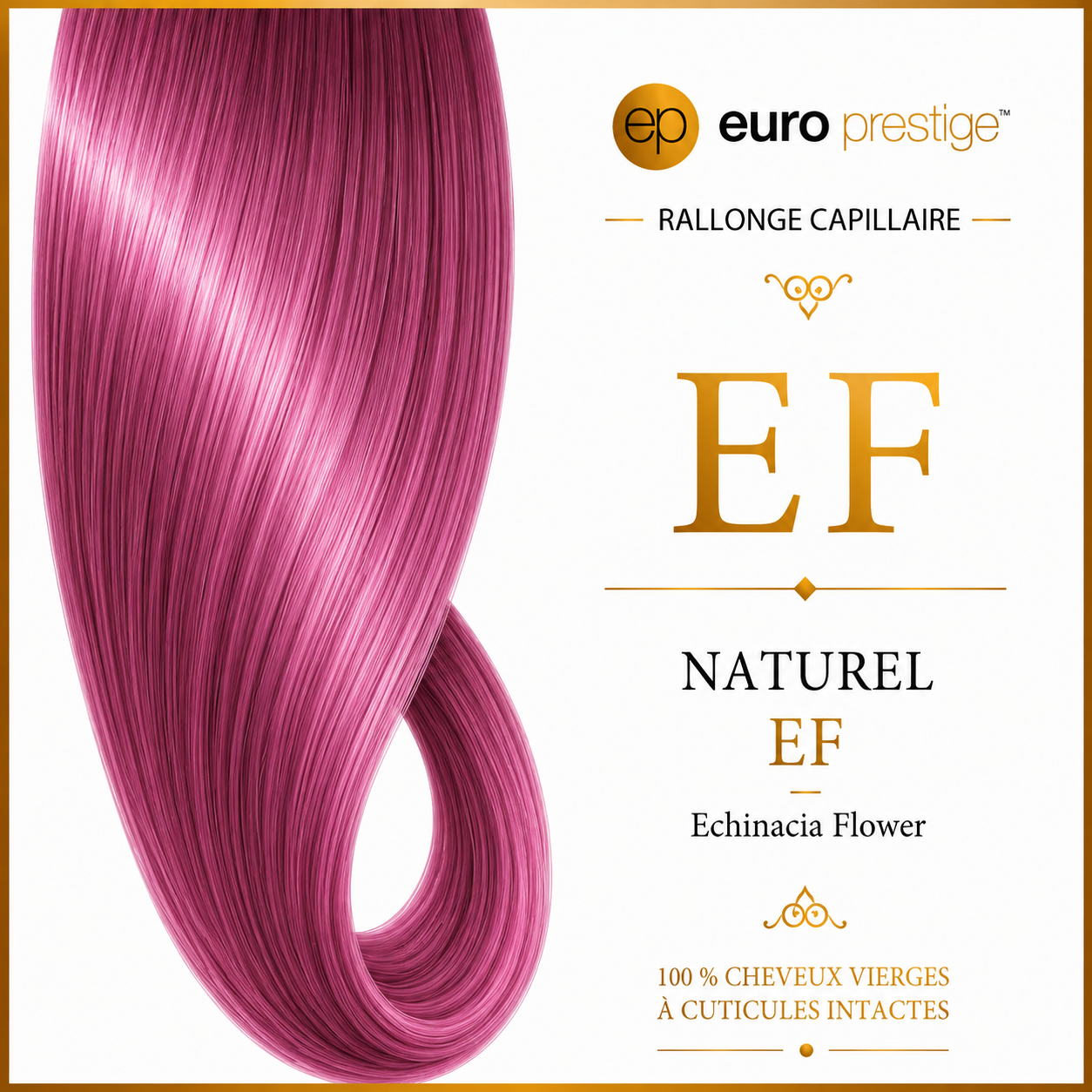 EF - Echinacia Flower