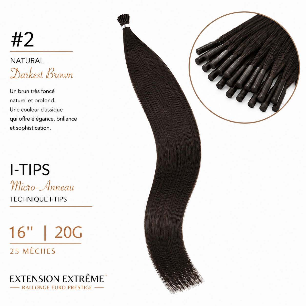 02 - Darkest Brown