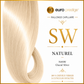 SW - Glacial Silver