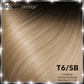 T6/SB - Ombrée (Ash Blonde)