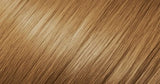 6C Chestnut Brown Remplace notre ancien nuancier #29 Euro Prestige