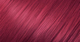BURG - Raspberry Euro Prestige
